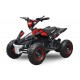 ECO Phyton Deluxe 1000w 36v LITIO R6 3 etapas luz