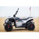 ATV OFFROAD 2x45w 12v amortiguación ruedas Eva