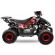 RIZZO QUAD 125CC RS7+RG AUTOMATICO