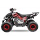RIZZO QUAD 125CC RS7+RG AUTOMATICO
