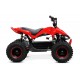 ECO Phyton CROSS 800w 36v R6 3 etapas luz