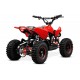 ECO Phyton CROSS 800w 36v R6 3 etapas luz