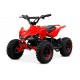 ECO Phyton CROSS 800w 36v R6 3 etapas luz