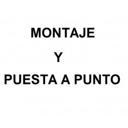 Puesta a punto Buggy 49cc