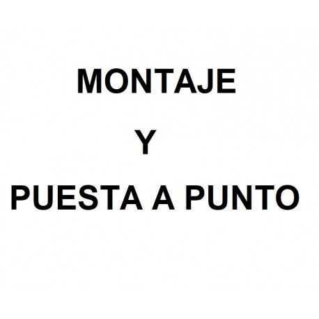 Puesta a punto Buggy 49cc