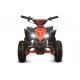 ECO REPLAY Deluxe XXL 1000w 36v R6 3 etapas BATERIA EXTRAIBLE Led