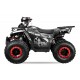 Quablo Turbo RS8-A midi Quad 125cc 8 "Aut. + RG Kinderquad ATV Platinum