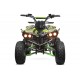 QUAD ECO Warrior Grafiti  S8 1000W 48V R8 shaft drive /diferencial