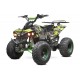 QUAD ECO Warrior Grafiti  S8 1000W 48V R8 shaft drive /diferencial