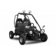 Eco buggy 450w 36v xxl R6 2 etapas marcha atrás