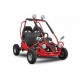 Eco buggy 450w 36v xxl R6 2 etapas marcha atrás