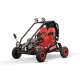 Eco buggy Hunt 650w 36v R6 2 etapas