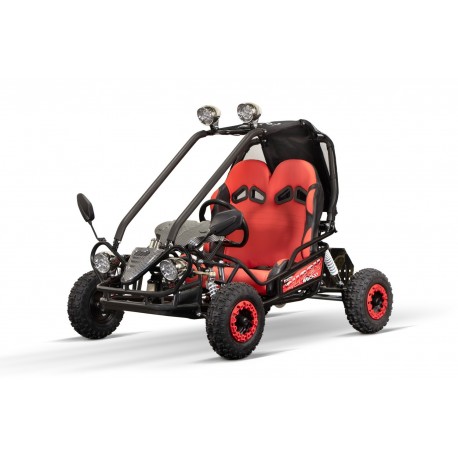 Eco buggy Hunt 650w 36v R6 2 etapas