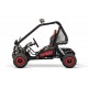 Eco buggy Hunt 650w 36v R6 2 etapas
