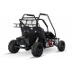 Eco buggy Gokart 2000W 60V 20ah 6 /7 pulgadas 3-etapas+ marcha atras