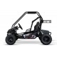 Eco buggy Gokart 2000W 60V 20ah 6 /7 pulgadas 3-etapas+ marcha atras