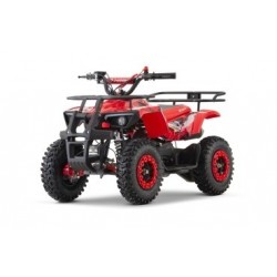 DUSTY  SNOWY  PROFILE  L SPORT 49cc R6