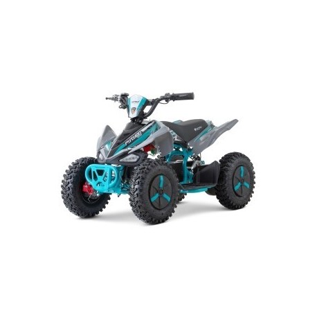 ECO Phyton Snowy-Profile L Sport 1000w 36v R6 3 etapas