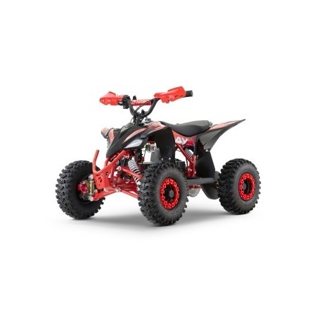 ECO REPLAY Sport SNOWY  XL 1200w 48v R6