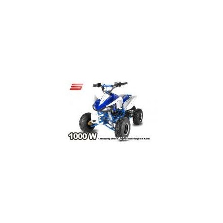 ECO SPEEDY S8 1000W 48V R8