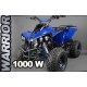 ECO warrior S8 1000W 48V R8 xxl