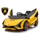 Lamborghini Sian 2x 30W 12V 4.5Ah 2.4G RC