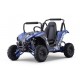 Eco Gokart Savana 1200w  48V VX2 PRM6 UTV
