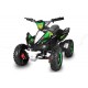 Phyton Deluxe 49cc R6  E-start