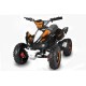 Phyton Deluxe 49cc R6  E-start