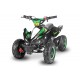 Phyton Deluxe 49cc R6  E-start