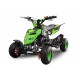 Repti Deluxe 49cc R4 Easy Start