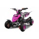 Repti Deluxe 49cc R4 Easy Start