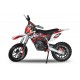 Eco Gazelle 500w 24v