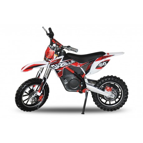 Eco Gazelle 500w 24v
