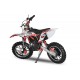 Eco Gazelle 500w 24v