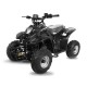 Big foot 125cc R6 aut. c/ marcha atrás