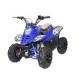 Big foot 125cc R6 aut. c/ marcha atrás