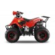 Big foot 125cc 4T R7 aut. c/ marcha atrás