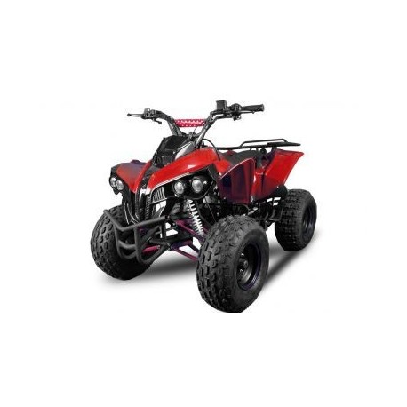 WARRIOR 125cc 4T R8 Semi aut. c/ marcha atrás XL