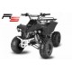 Warrior  125cc RS 4T R8 Semi aut. c/ marcha atrás XL